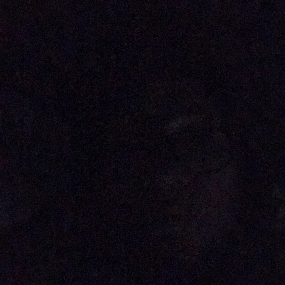 Meet your Posher, Debi